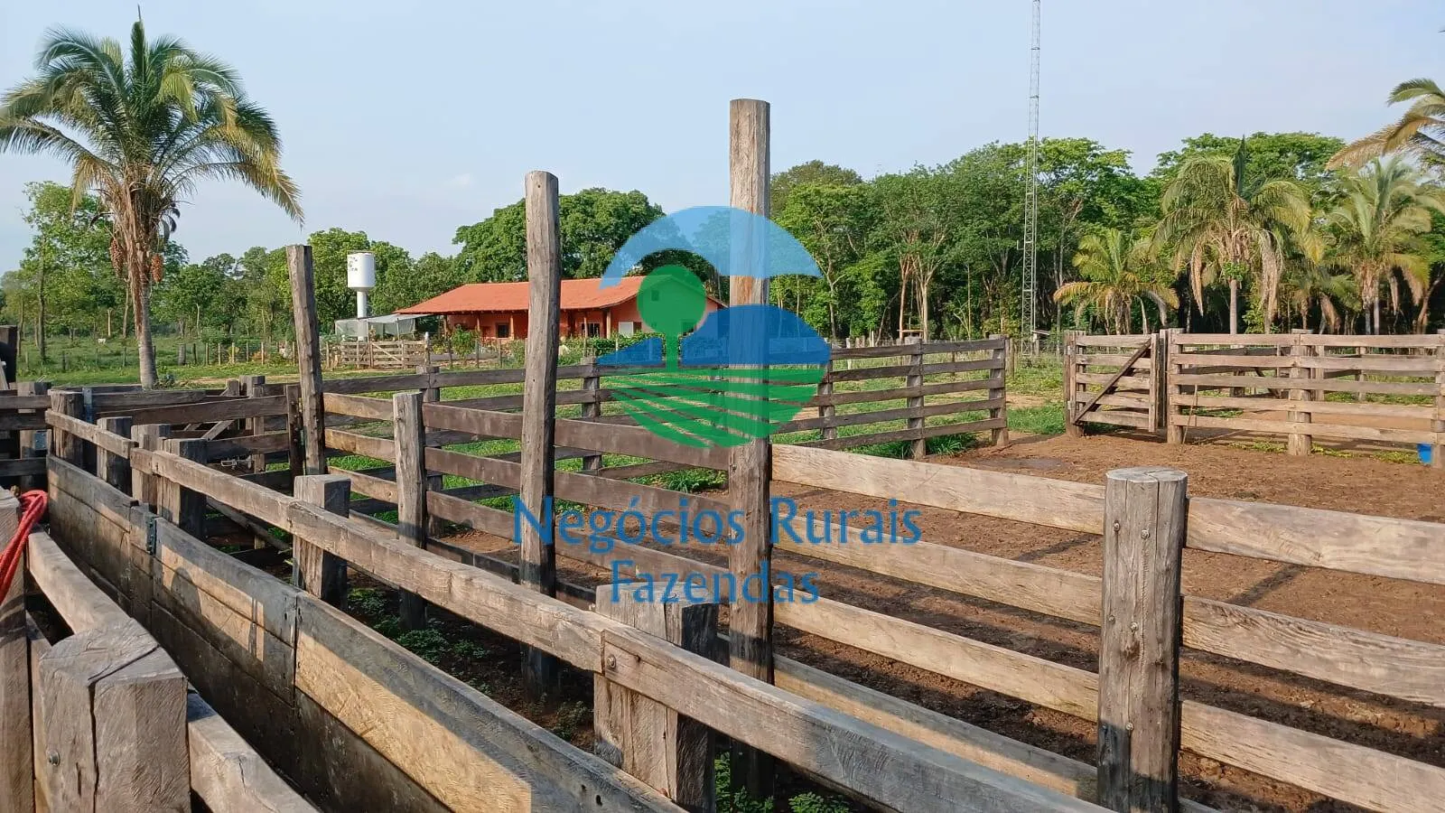 Fazenda à venda de 890 ha em Minaçu, GO, Brasil