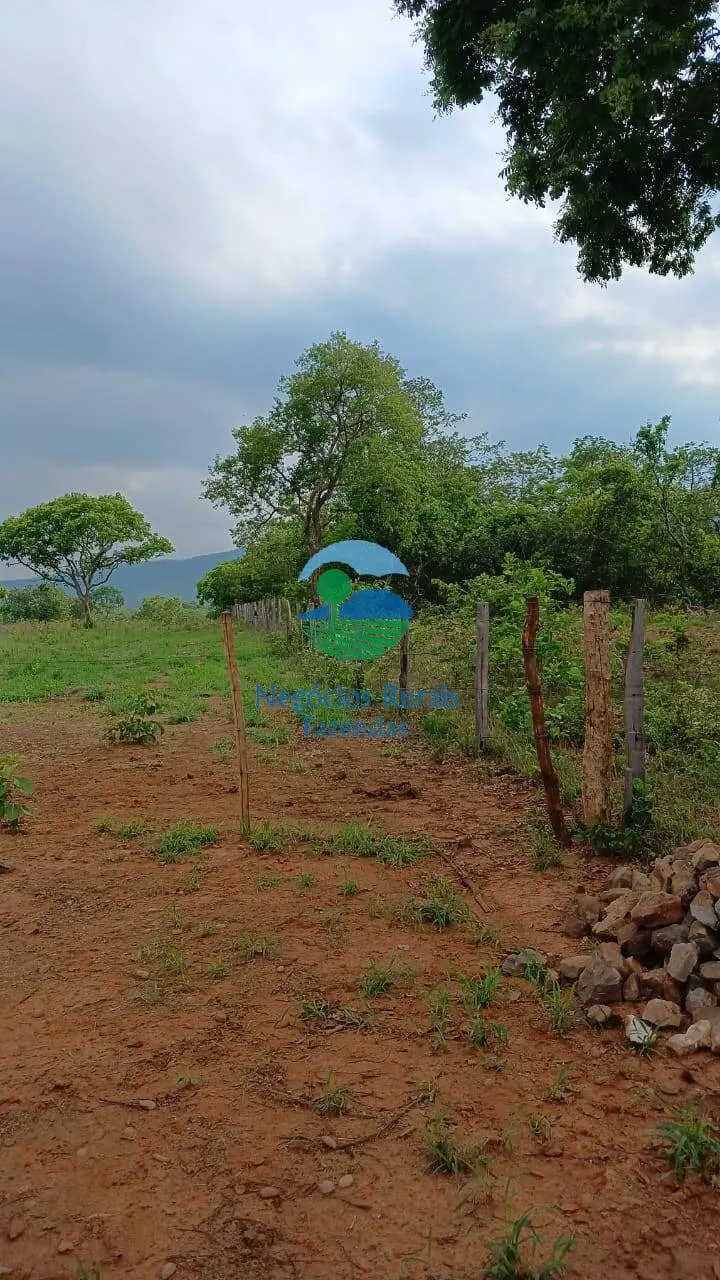 Fazenda à venda de 890 ha em Minaçu, GO, Brasil