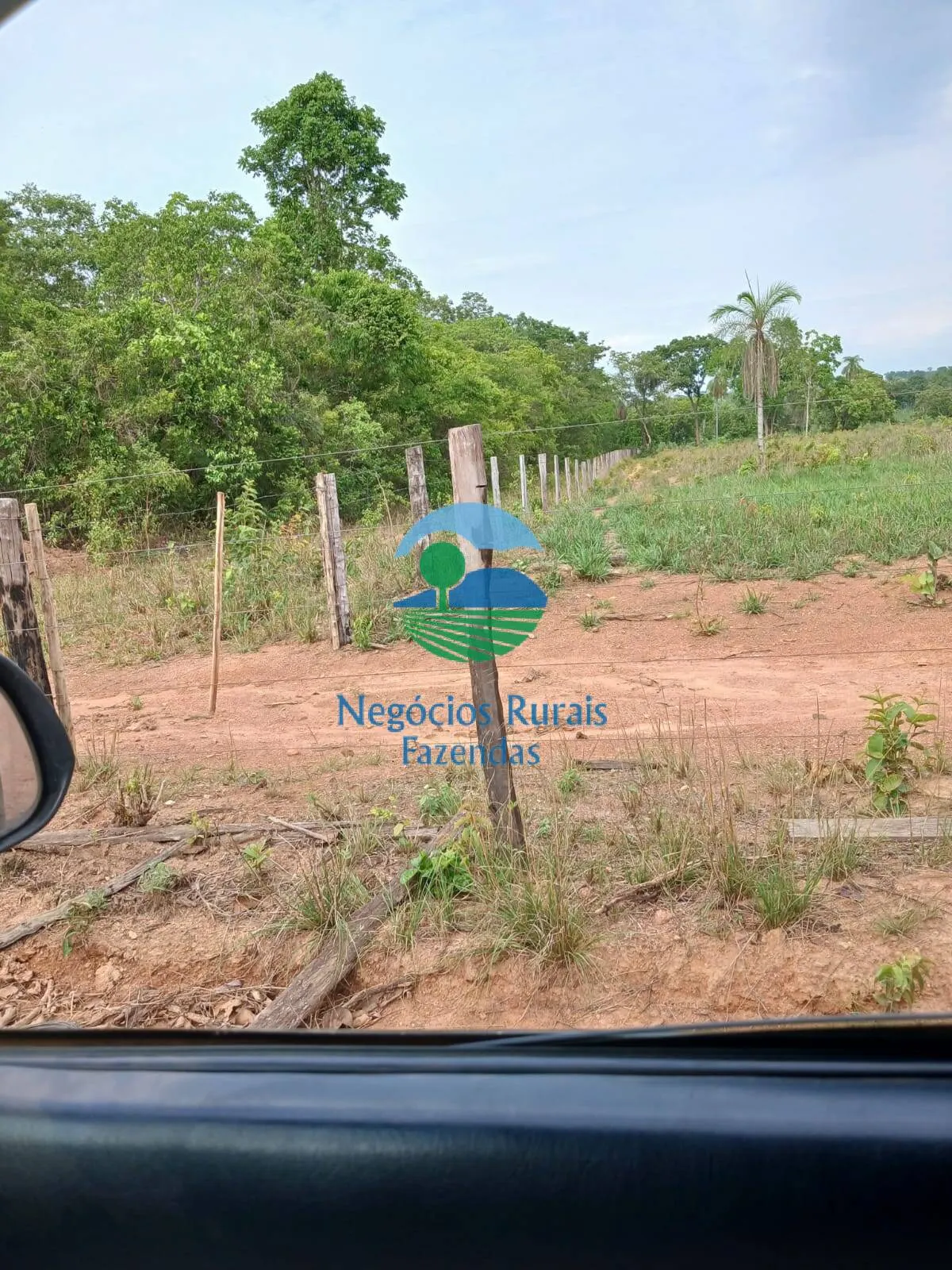 Fazenda à venda de 890 ha em Minaçu, GO, Brasil