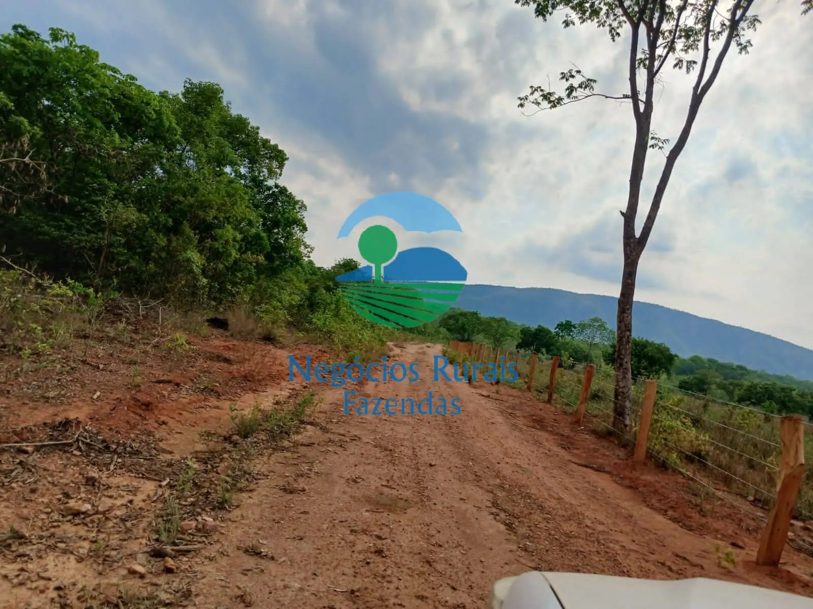 Fazenda à venda de 890 ha em Minaçu, GO, Brasil