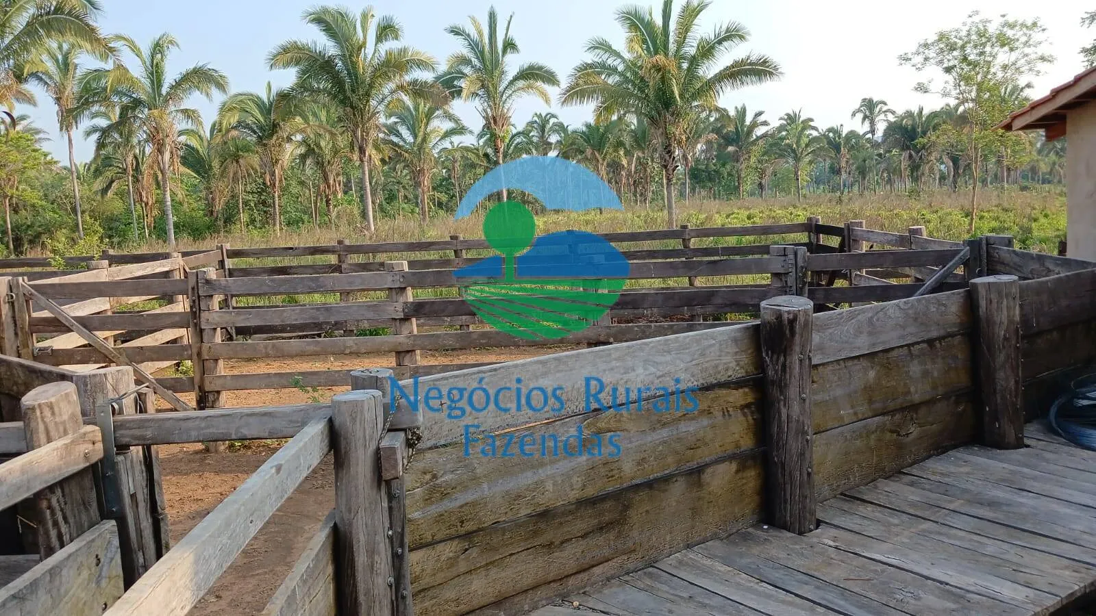 Fazenda à venda de 890 ha em Minaçu, GO, Brasil