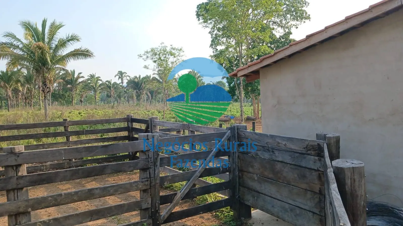 Fazenda à venda de 890 ha em Minaçu, GO, Brasil