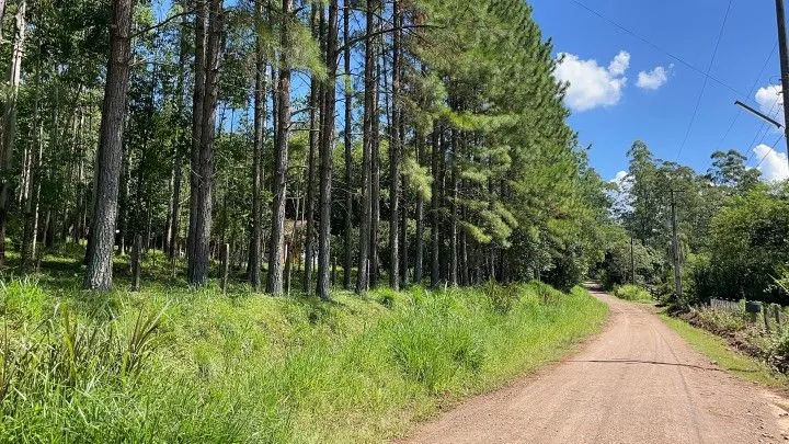 Chácara à venda de 3 ha em Igrejinha, RS, Brasil