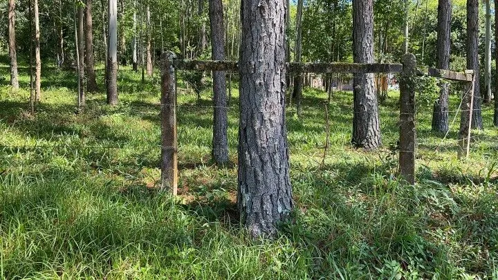 Chácara à venda de 3 ha em Igrejinha, RS, Brasil