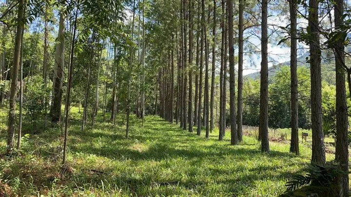 Chácara à venda de 3 ha em Igrejinha, RS, Brasil