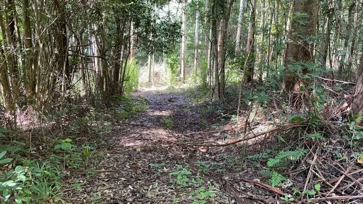 Chácara à venda de 3 ha em Igrejinha, RS, Brasil