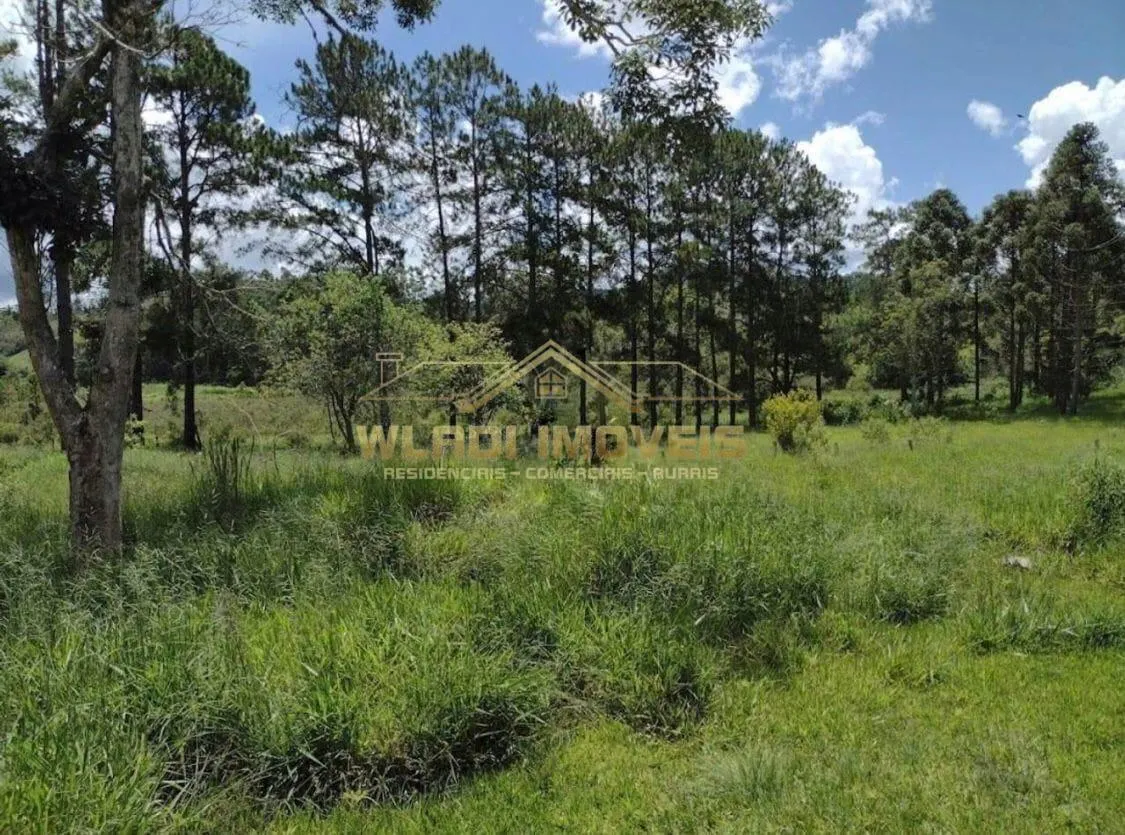 Fazenda à venda de 499 ha em Guaratinguetá, SP, Brasil