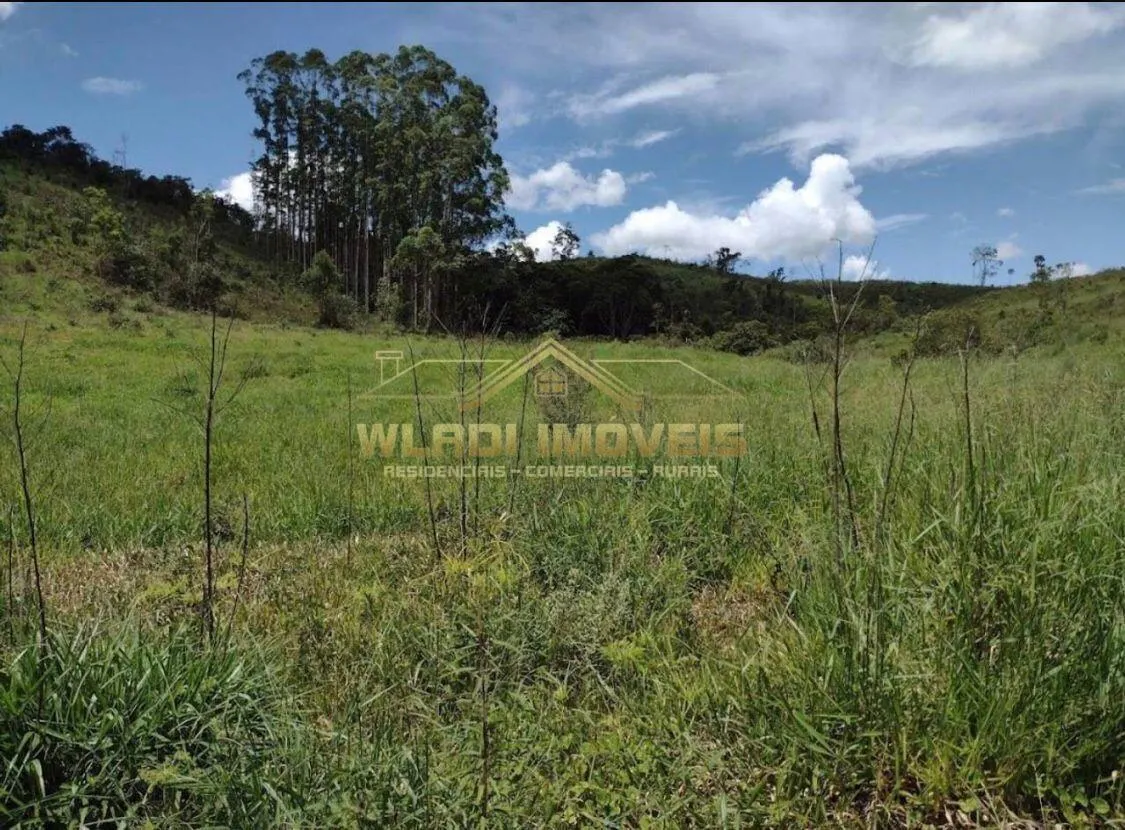 Fazenda à venda de 499 ha em Guaratinguetá, SP, Brasil