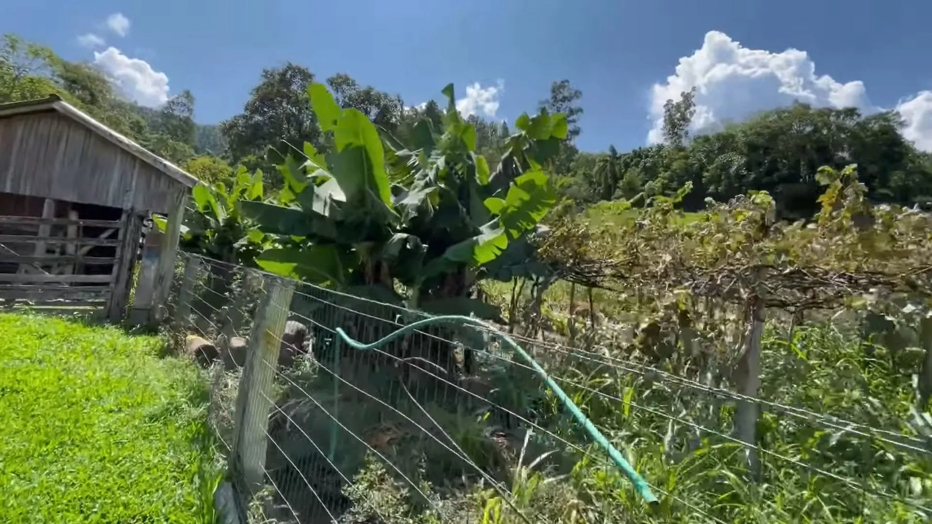 Sítio à venda e para Arrendar de 23 ha em Maquiné, RS, Brasil