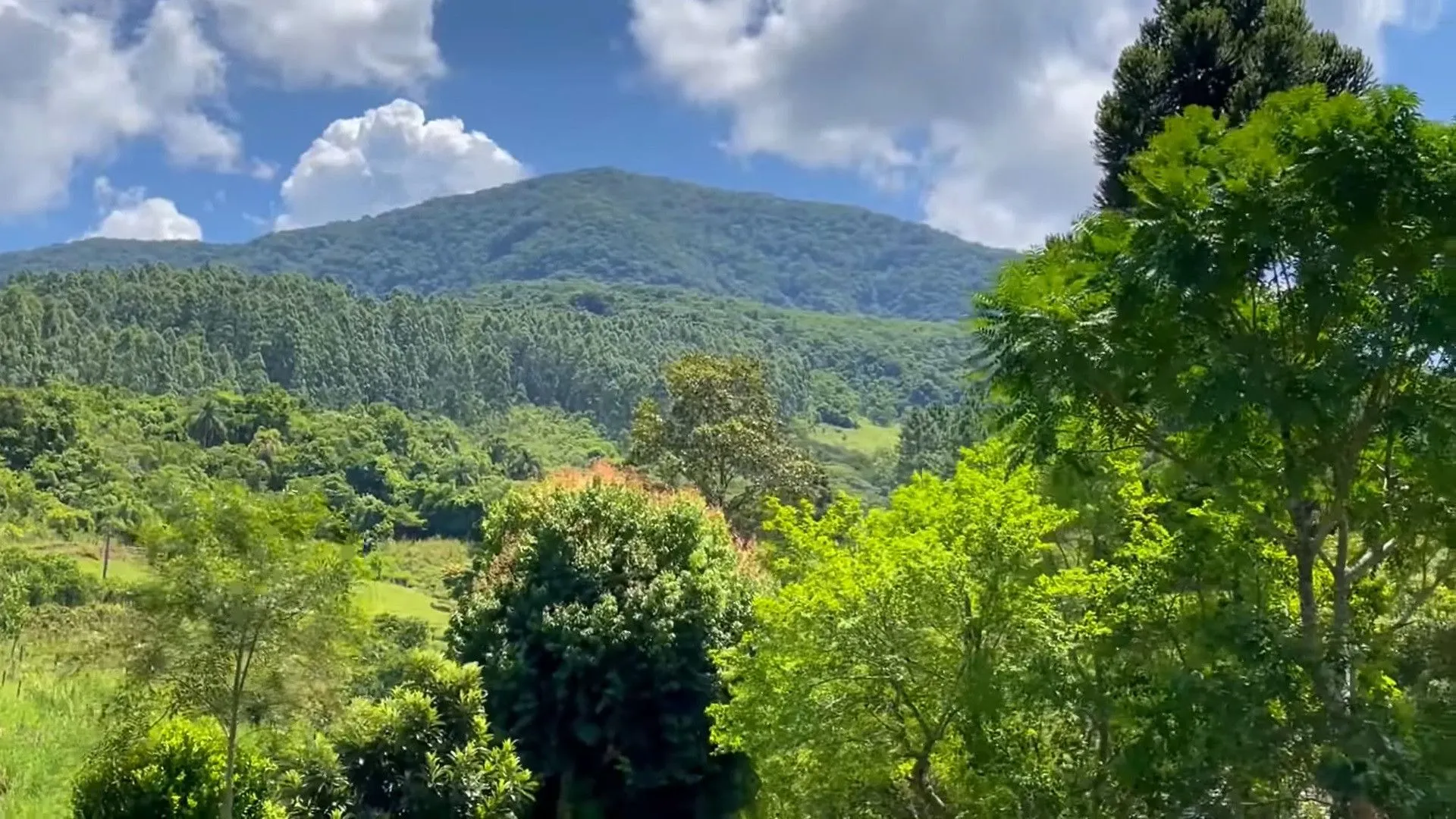 Sítio à venda e para Arrendar de 23 ha em Maquiné, RS, Brasil
