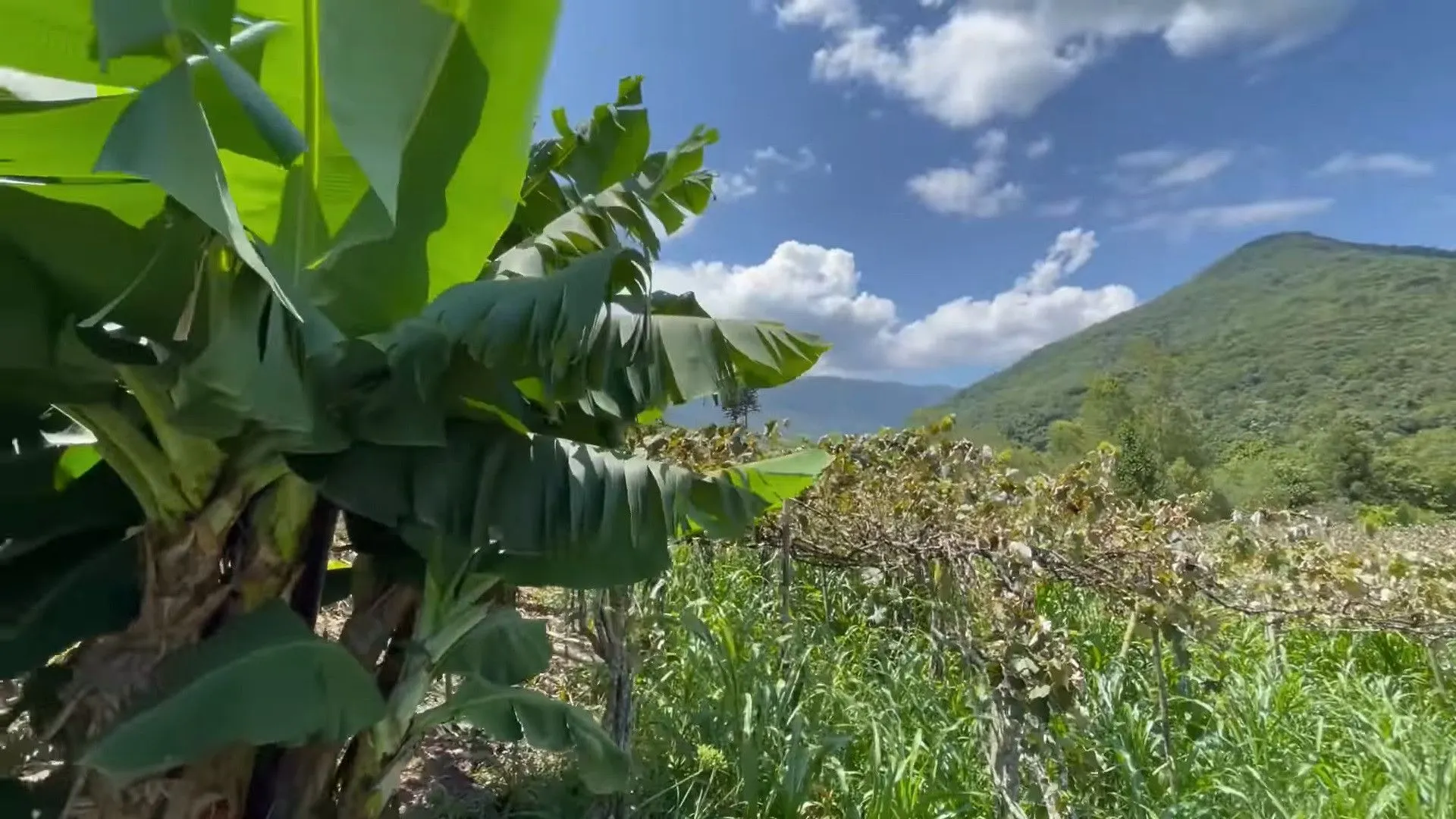 Sítio à venda e para Arrendar de 23 ha em Maquiné, RS, Brasil