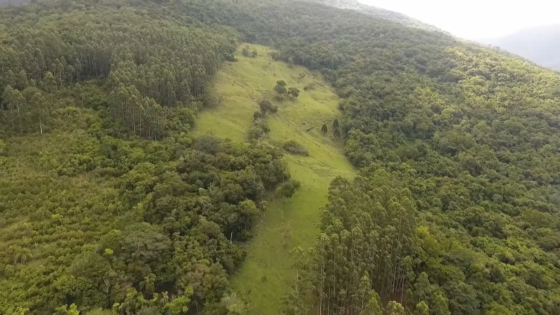 Sítio à venda e para Arrendar de 23 ha em Maquiné, RS, Brasil