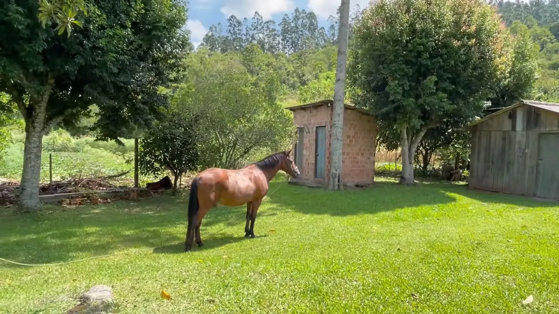 Sítio à venda e para Arrendar de 23 ha em Maquiné, RS, Brasil