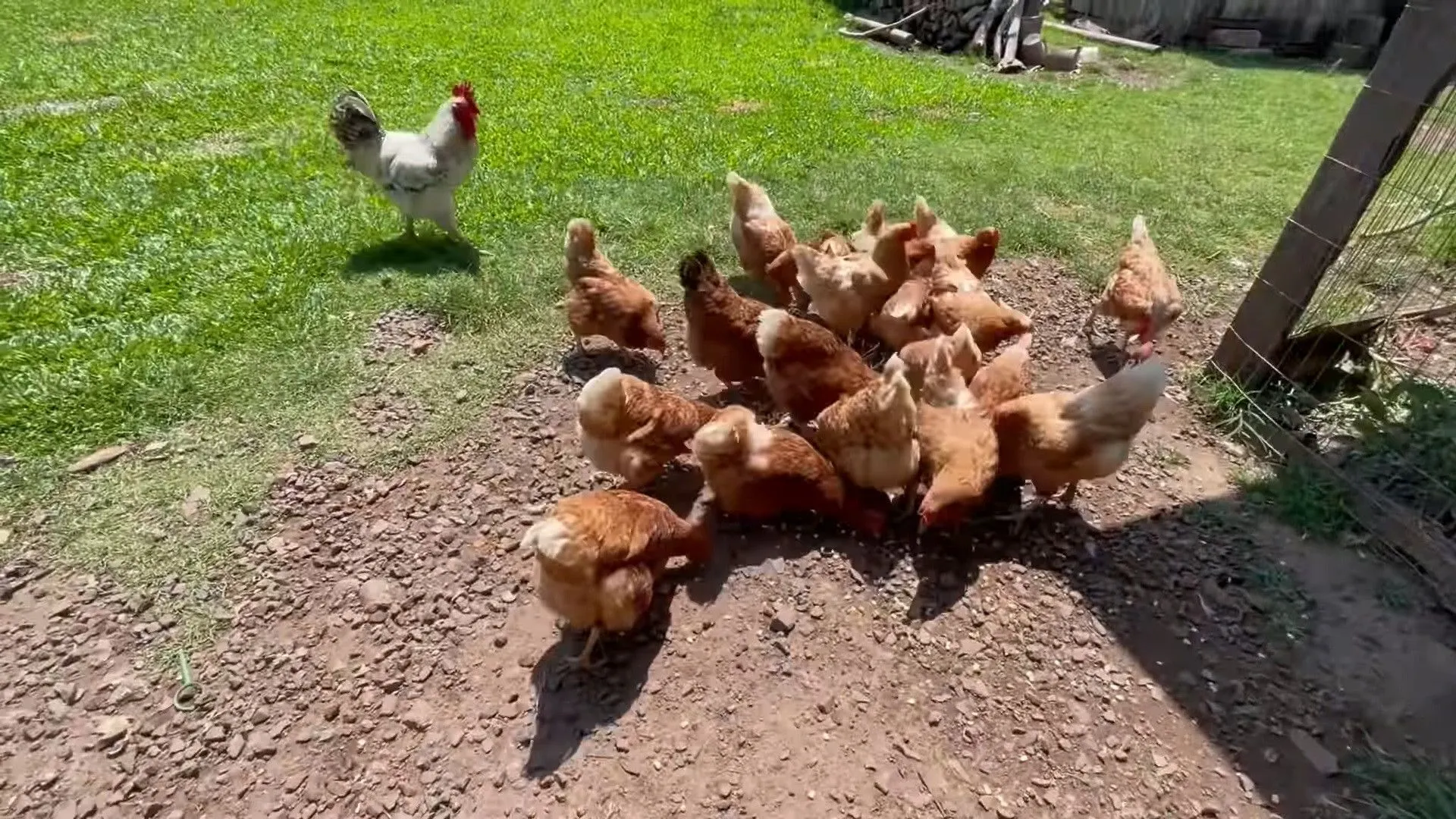Sítio à venda e para Arrendar de 23 ha em Maquiné, RS, Brasil