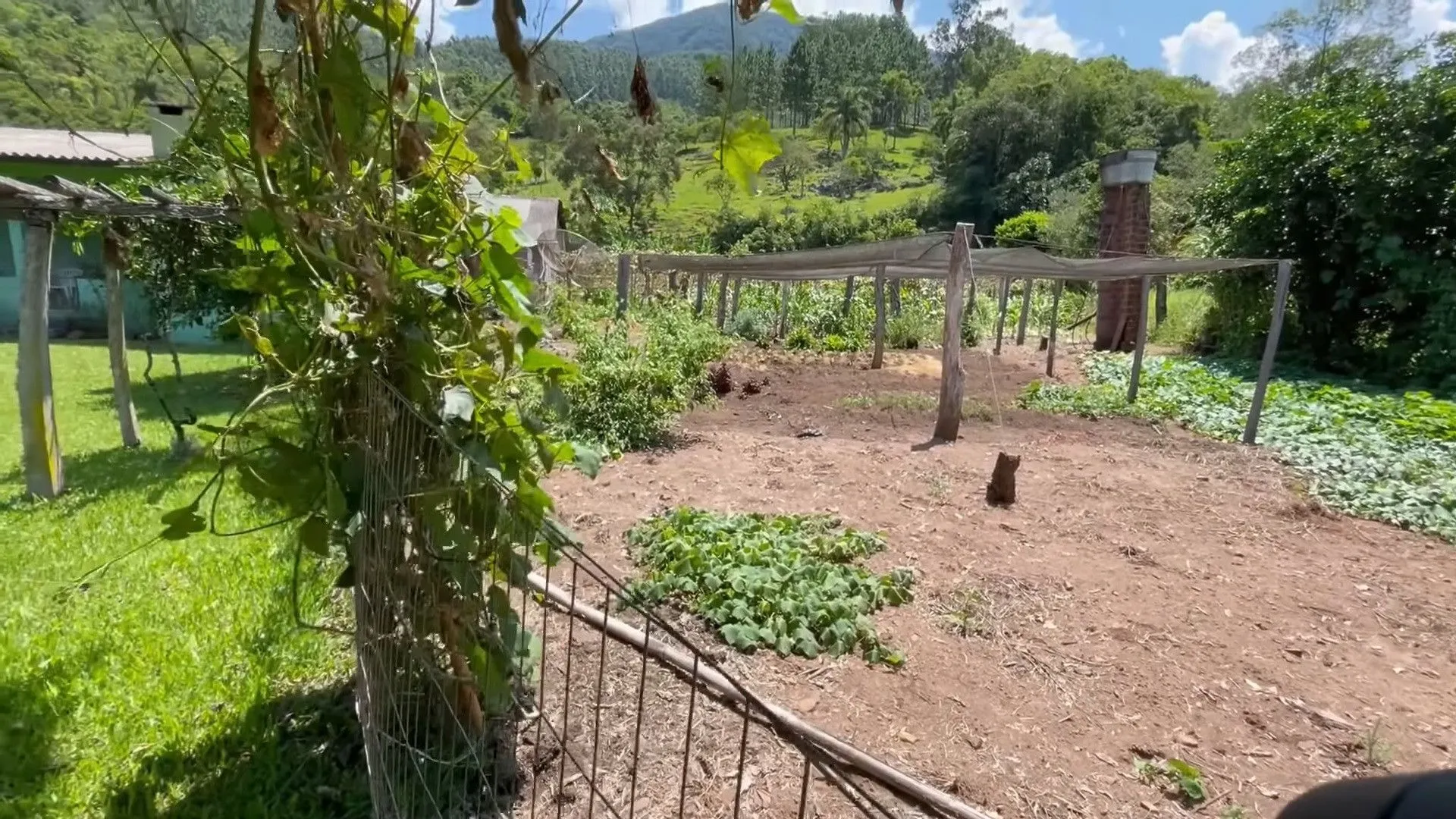 Sítio à venda e para Arrendar de 23 ha em Maquiné, RS, Brasil