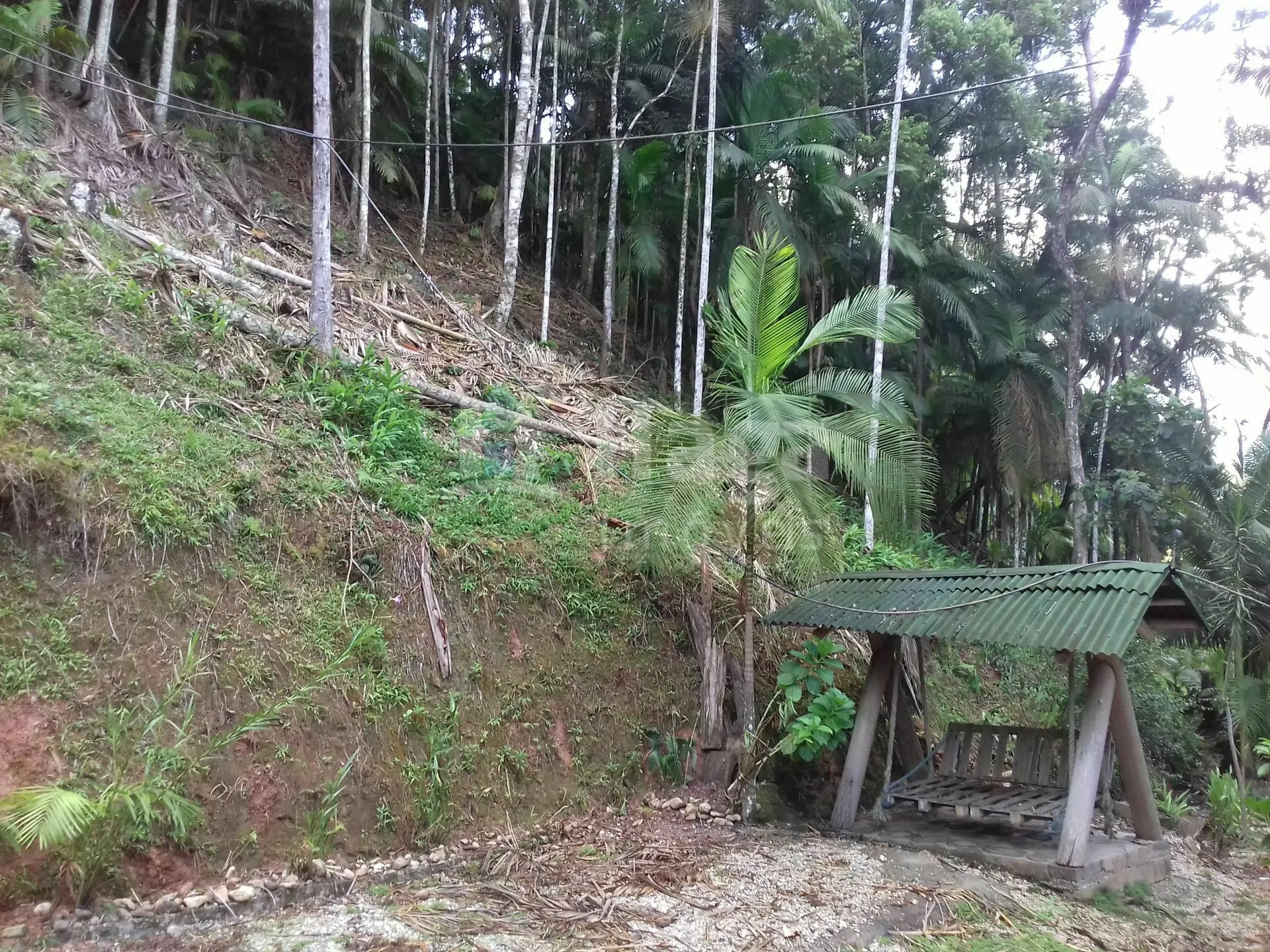 Country home for sale of 1 acres in Botuverá, SC, Brazil