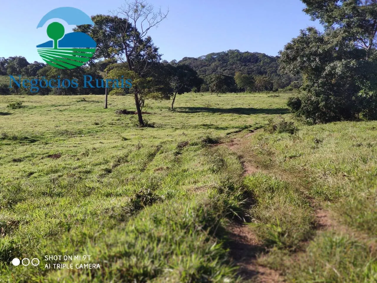 Fazenda à venda de 1.301 ha em Uruaçu, GO, Brasil
