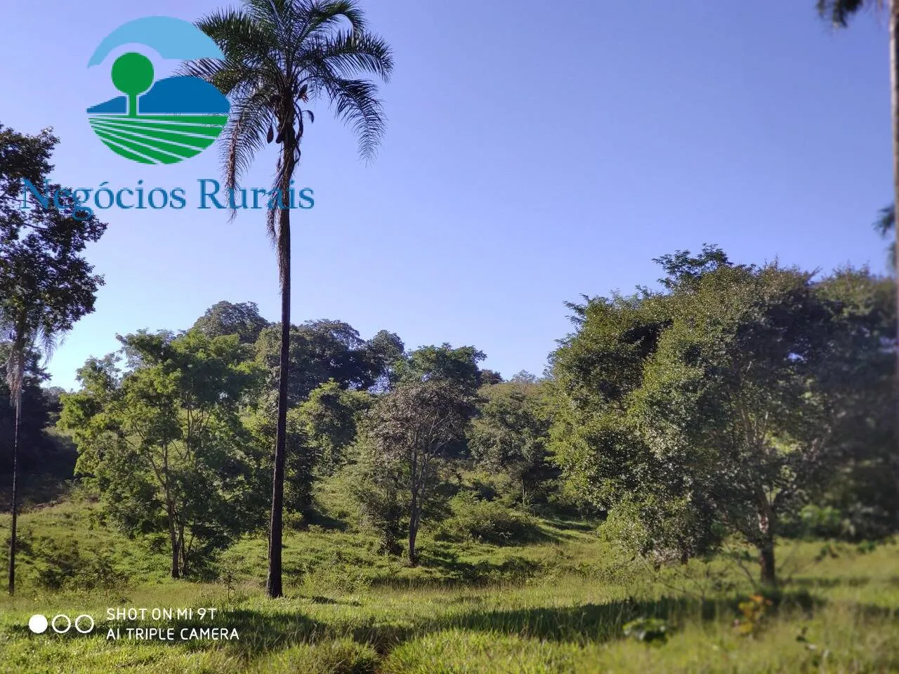 Fazenda à venda de 1.301 ha em Uruaçu, GO, Brasil