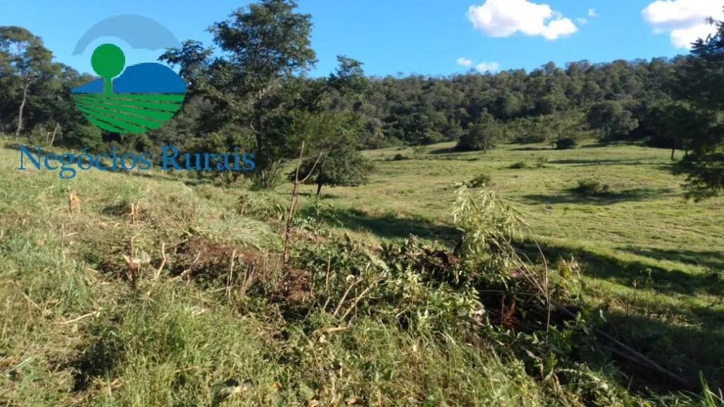 Fazenda à venda de 1.301 ha em Uruaçu, GO, Brasil