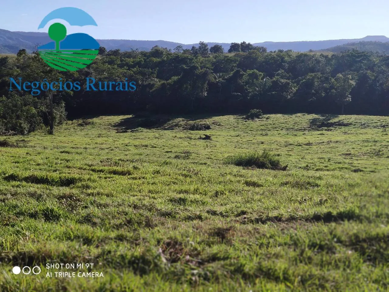 Fazenda à venda de 1.301 ha em Uruaçu, GO, Brasil