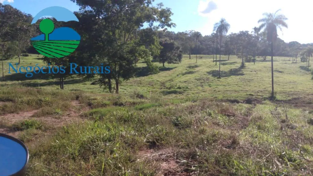 Fazenda à venda de 1.301 ha em Uruaçu, GO, Brasil