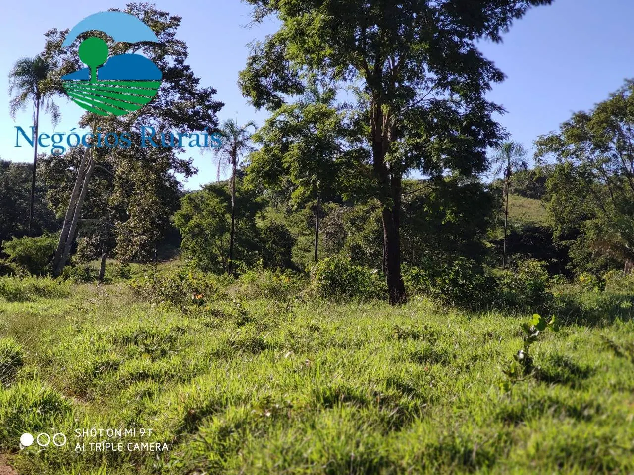 Fazenda à venda de 1.301 ha em Uruaçu, GO, Brasil