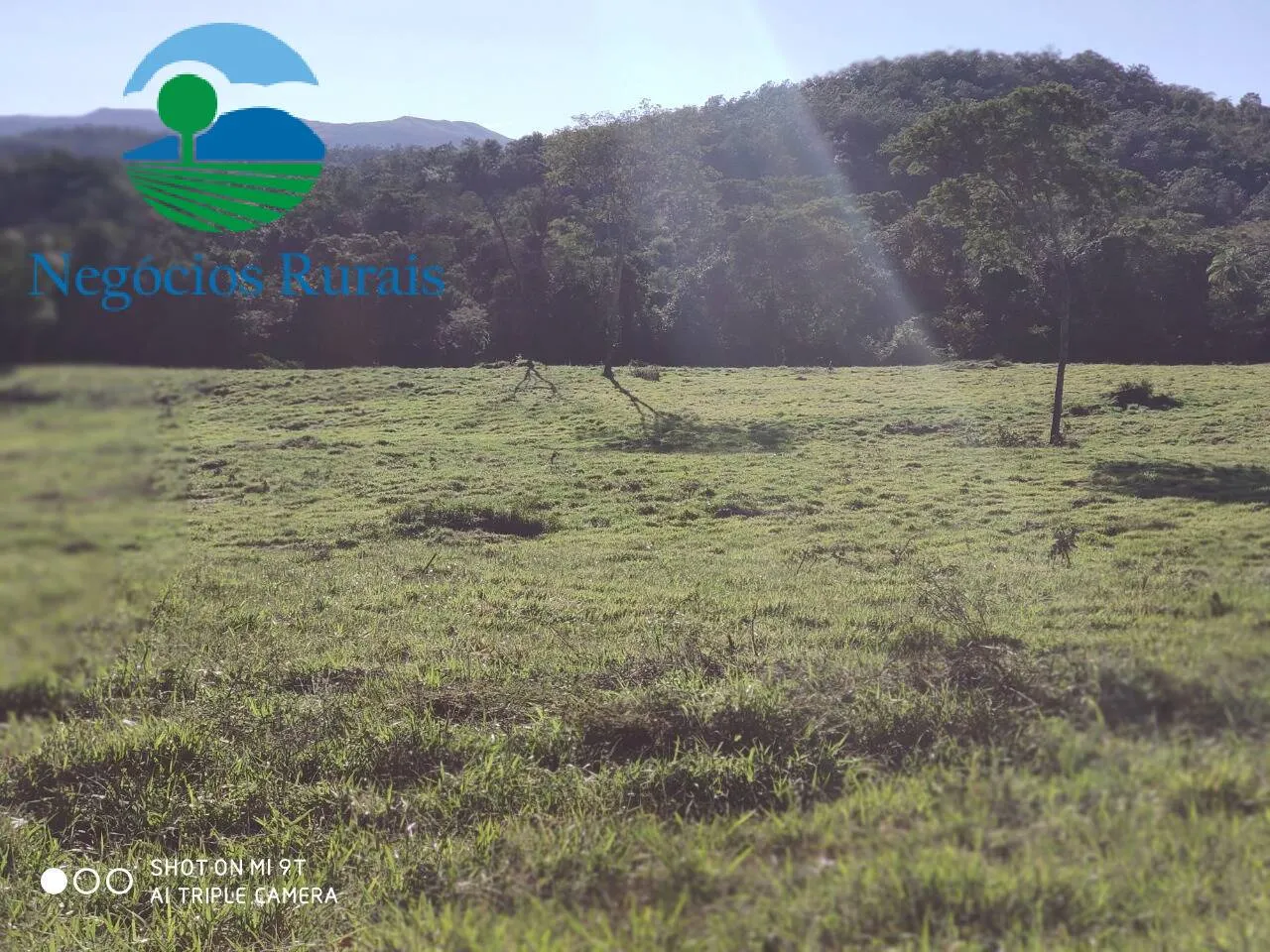 Fazenda à venda de 1.301 ha em Uruaçu, GO, Brasil