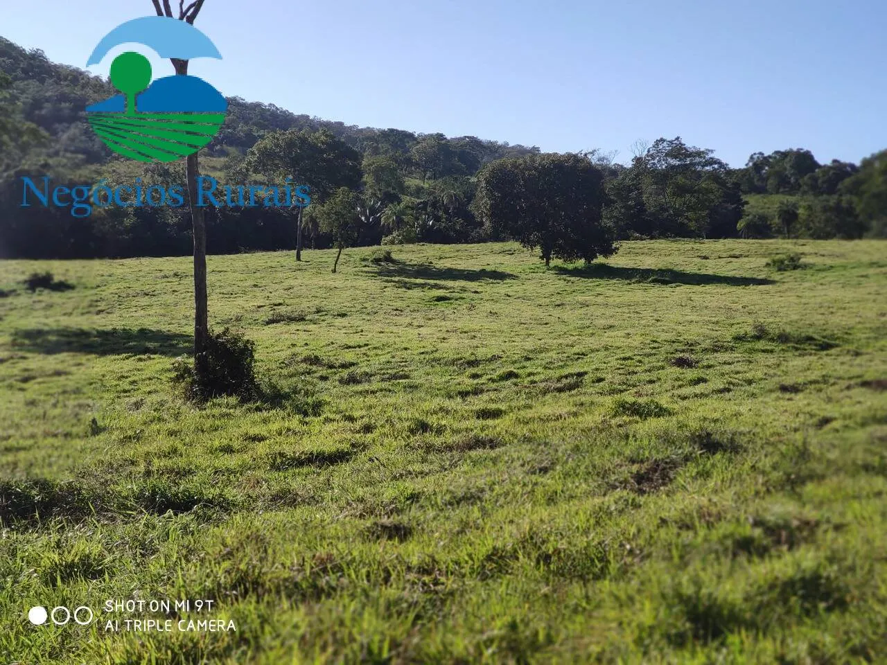 Fazenda à venda de 1.301 ha em Uruaçu, GO, Brasil