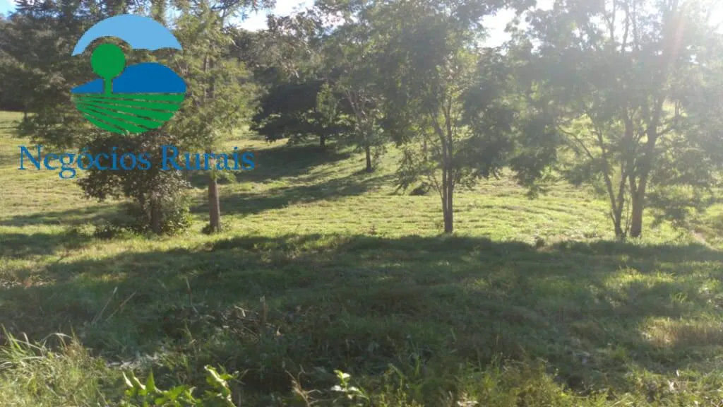 Fazenda à venda de 1.301 ha em Uruaçu, GO, Brasil