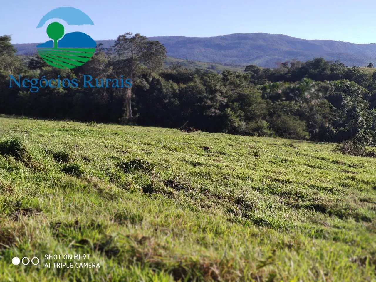 Fazenda à venda de 1.301 ha em Uruaçu, GO, Brasil