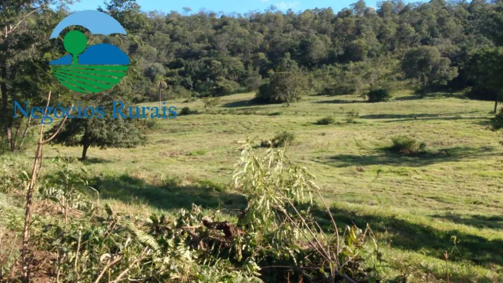 Fazenda à venda de 1.301 ha em Uruaçu, GO, Brasil