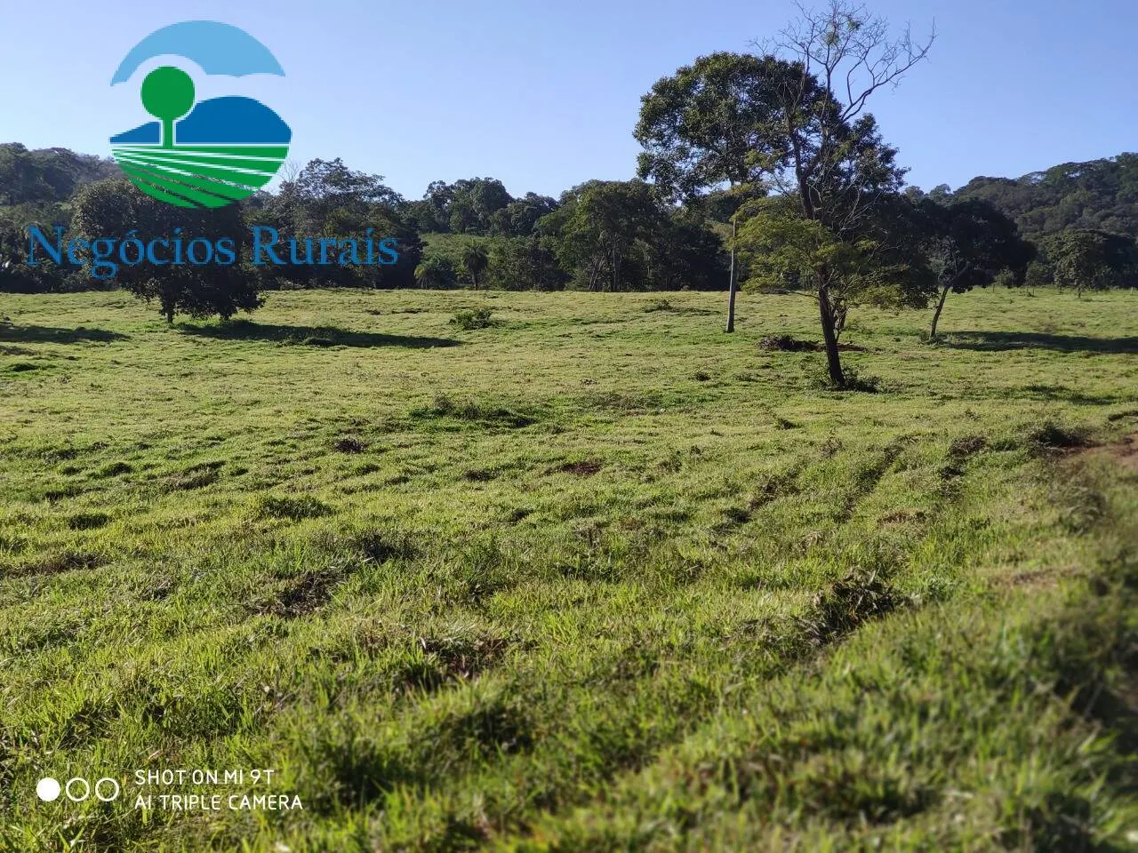 Fazenda à venda de 1.301 ha em Uruaçu, GO, Brasil