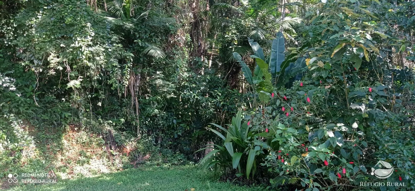 Sítio à venda e para Arrendar de 3 ha em São José dos Campos, SP, Brasil