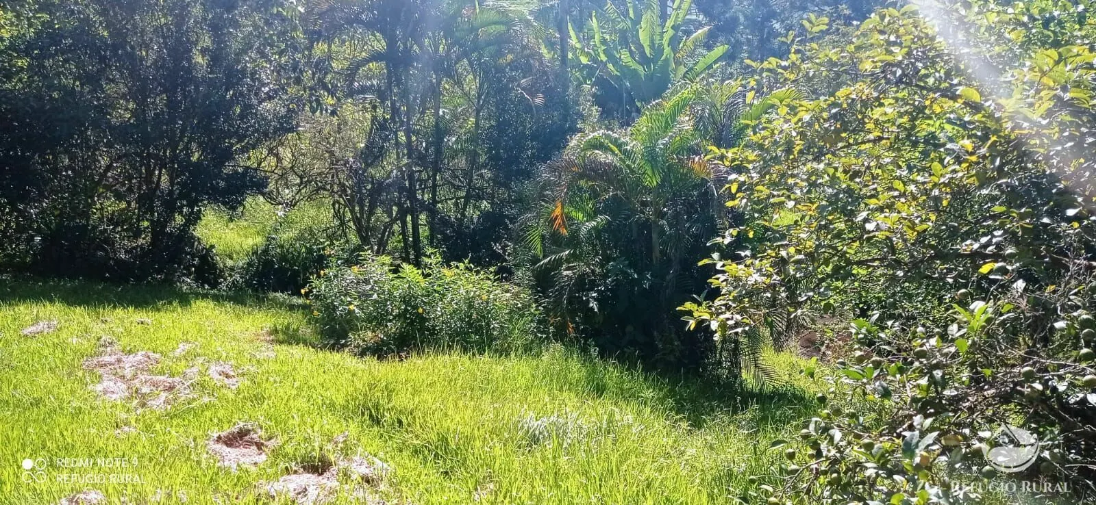 Sítio à venda e para Arrendar de 3 ha em São José dos Campos, SP, Brasil
