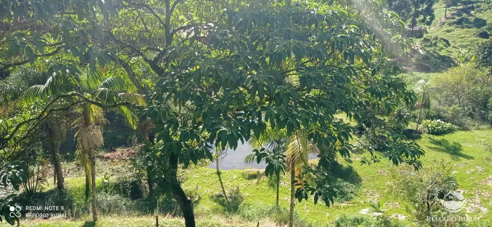 Sítio à venda e para Arrendar de 3 ha em São José dos Campos, SP, Brasil
