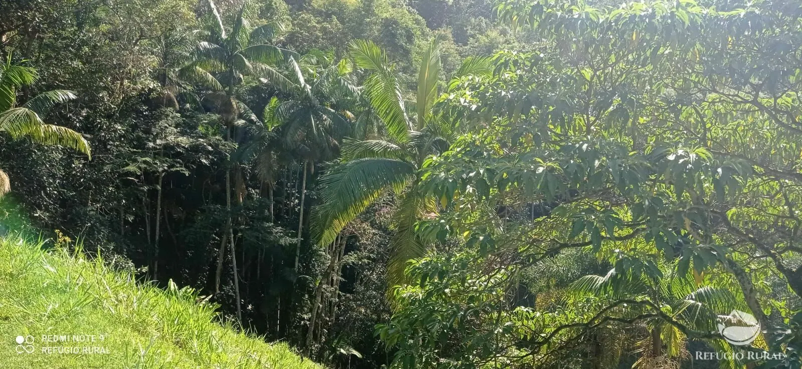 Sítio à venda e para Arrendar de 3 ha em São José dos Campos, SP, Brasil