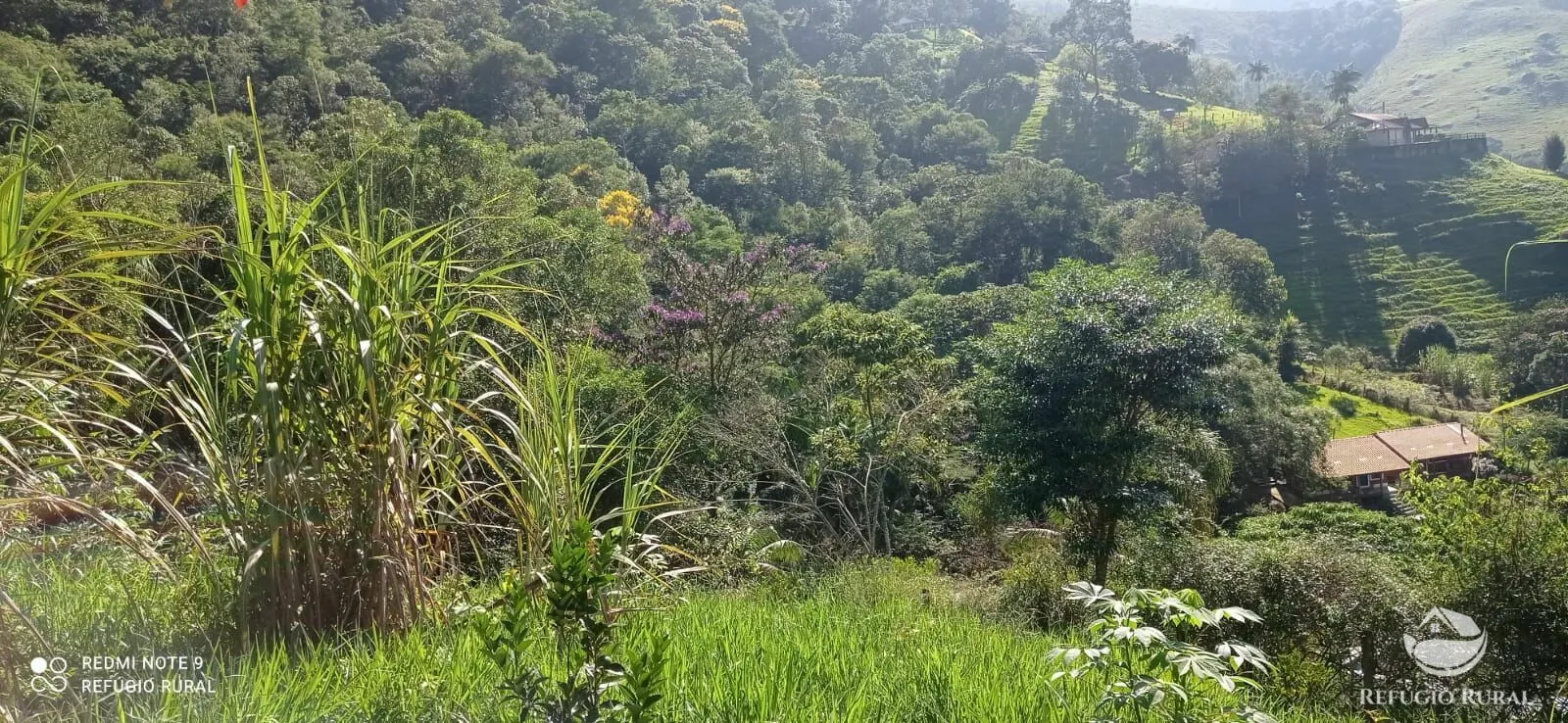Sítio à venda e para Arrendar de 3 ha em São José dos Campos, SP, Brasil