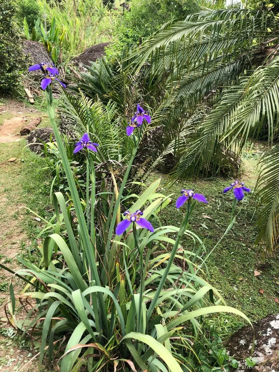 Sítio à venda e para Arrendar de 3 ha em São José dos Campos, SP, Brasil