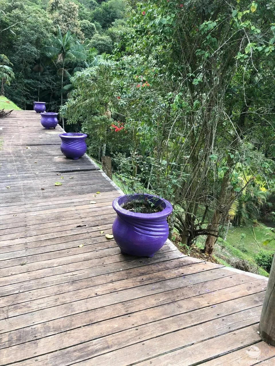 Sítio à venda e para Arrendar de 3 ha em São José dos Campos, SP, Brasil