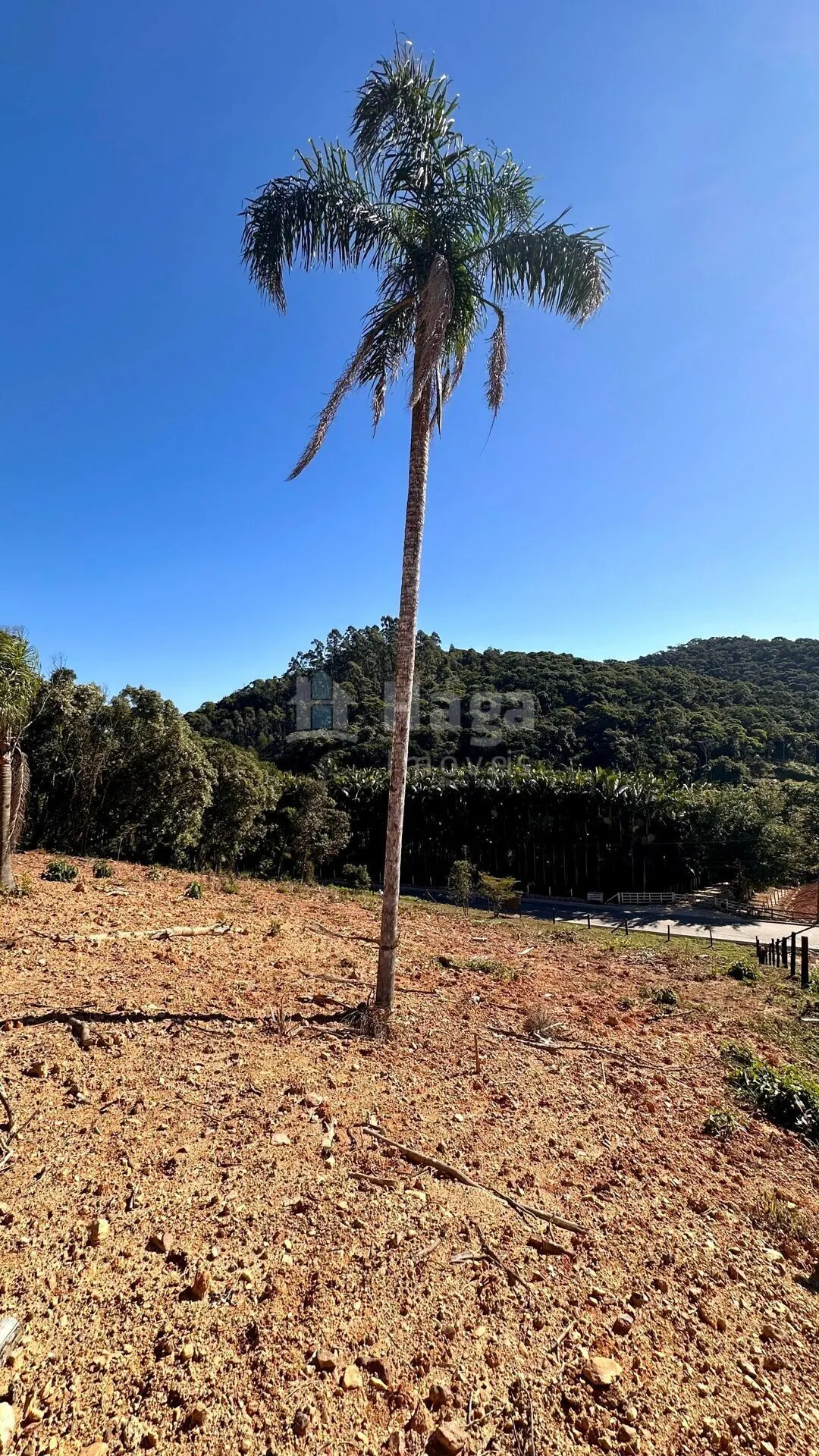 Terreno à venda de 2 ha em Canelinha, SC, Brasil