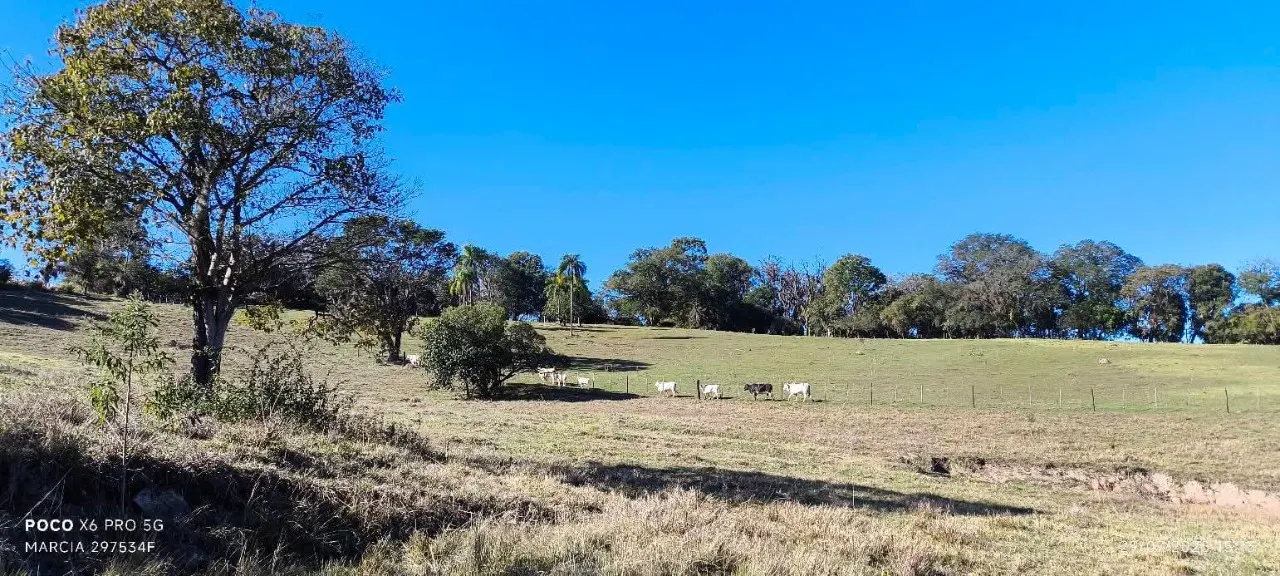 Fazenda à venda de 7 ha em Angatuba, SP, Brasil