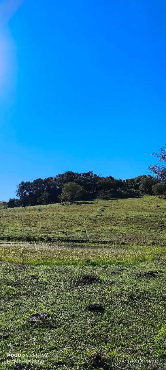 Fazenda à venda de 7 ha em Angatuba, SP, Brasil
