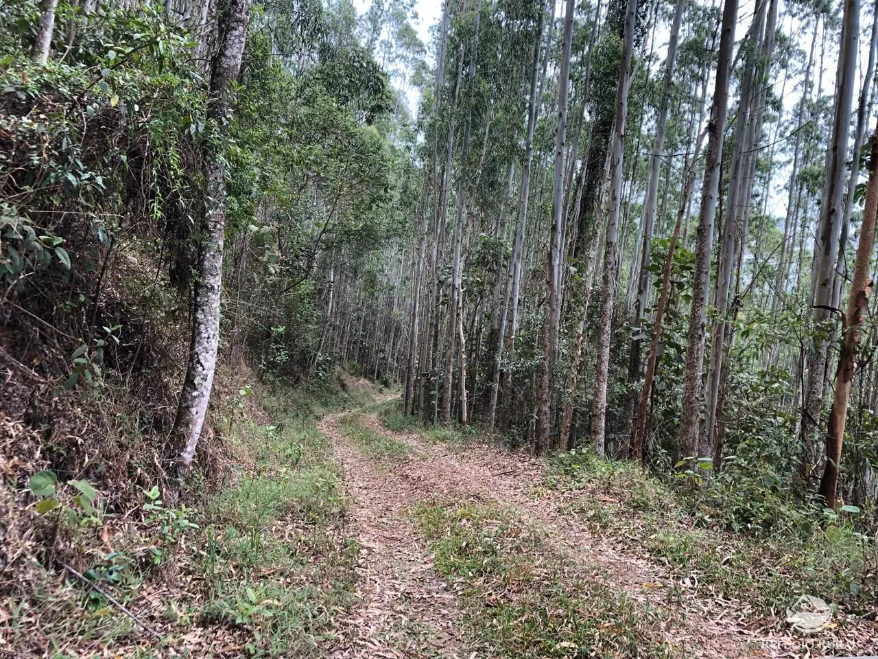 Sítio à venda de 20 ha em São José dos Campos, SP, Brasil
