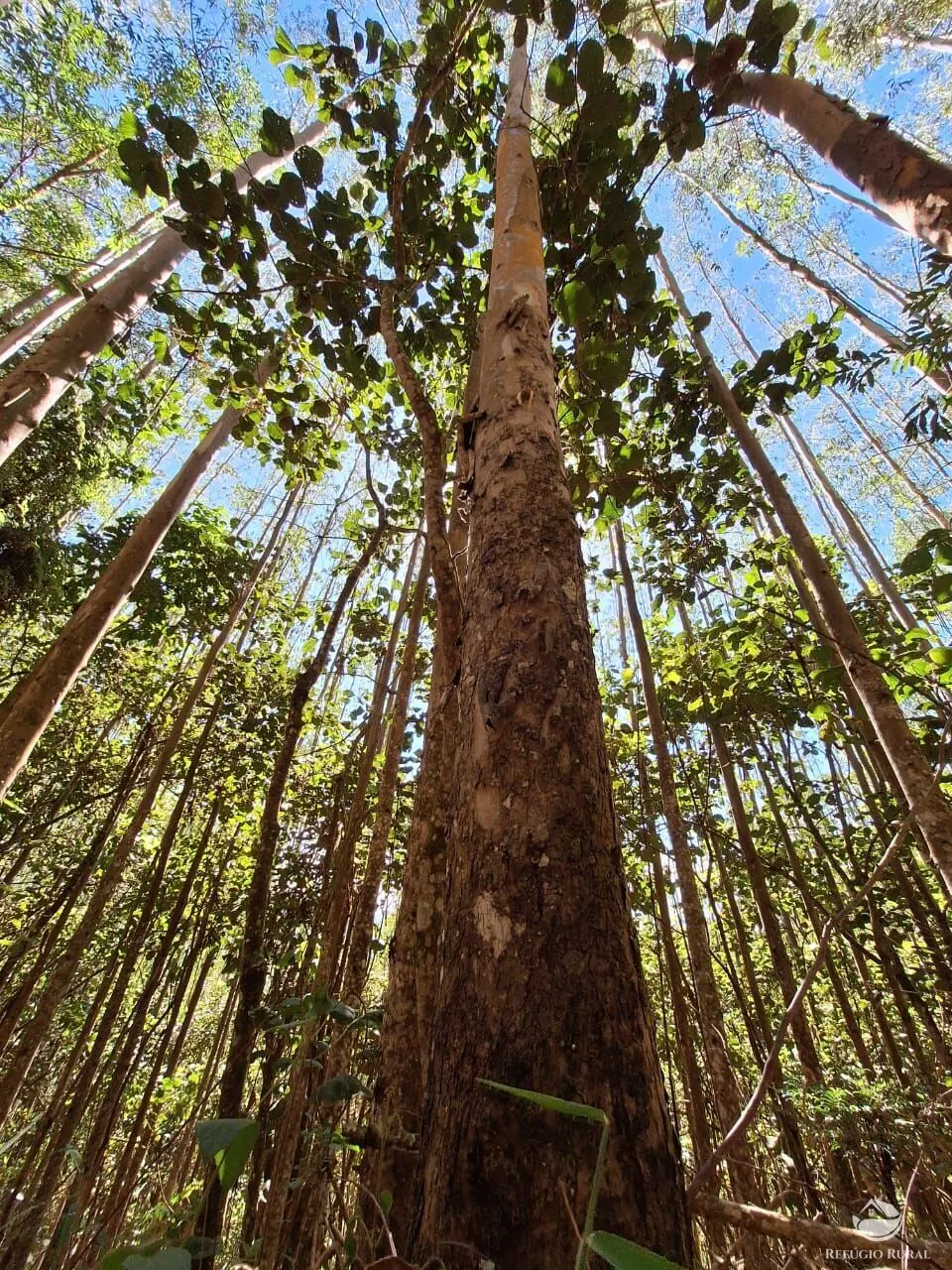 Sítio à venda de 20 ha em São José dos Campos, SP, Brasil