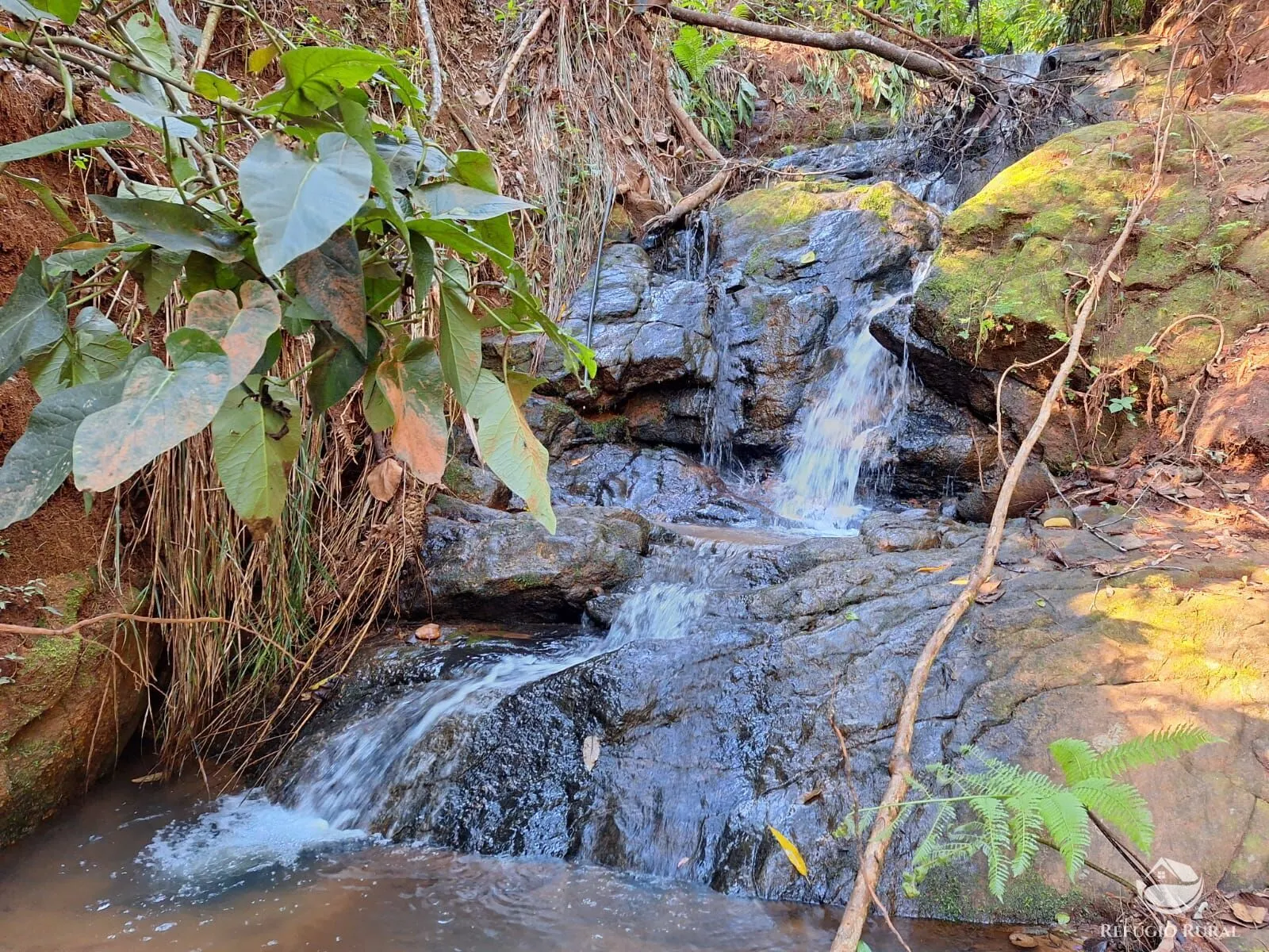 Sítio à venda de 20 ha em São José dos Campos, SP, Brasil