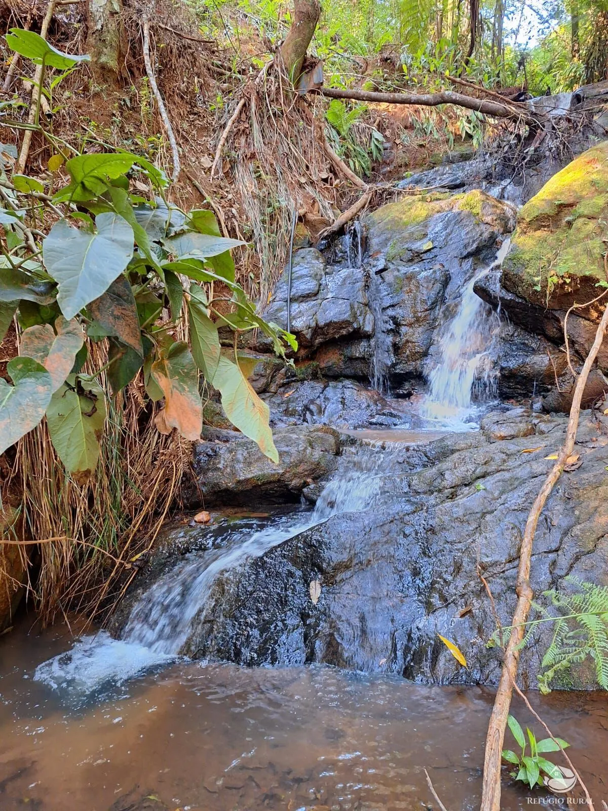 Sítio à venda de 20 ha em São José dos Campos, SP, Brasil