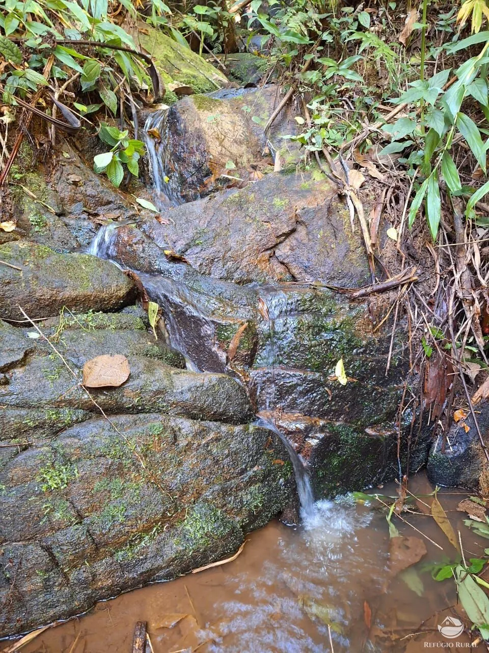 Sítio à venda de 20 ha em São José dos Campos, SP, Brasil