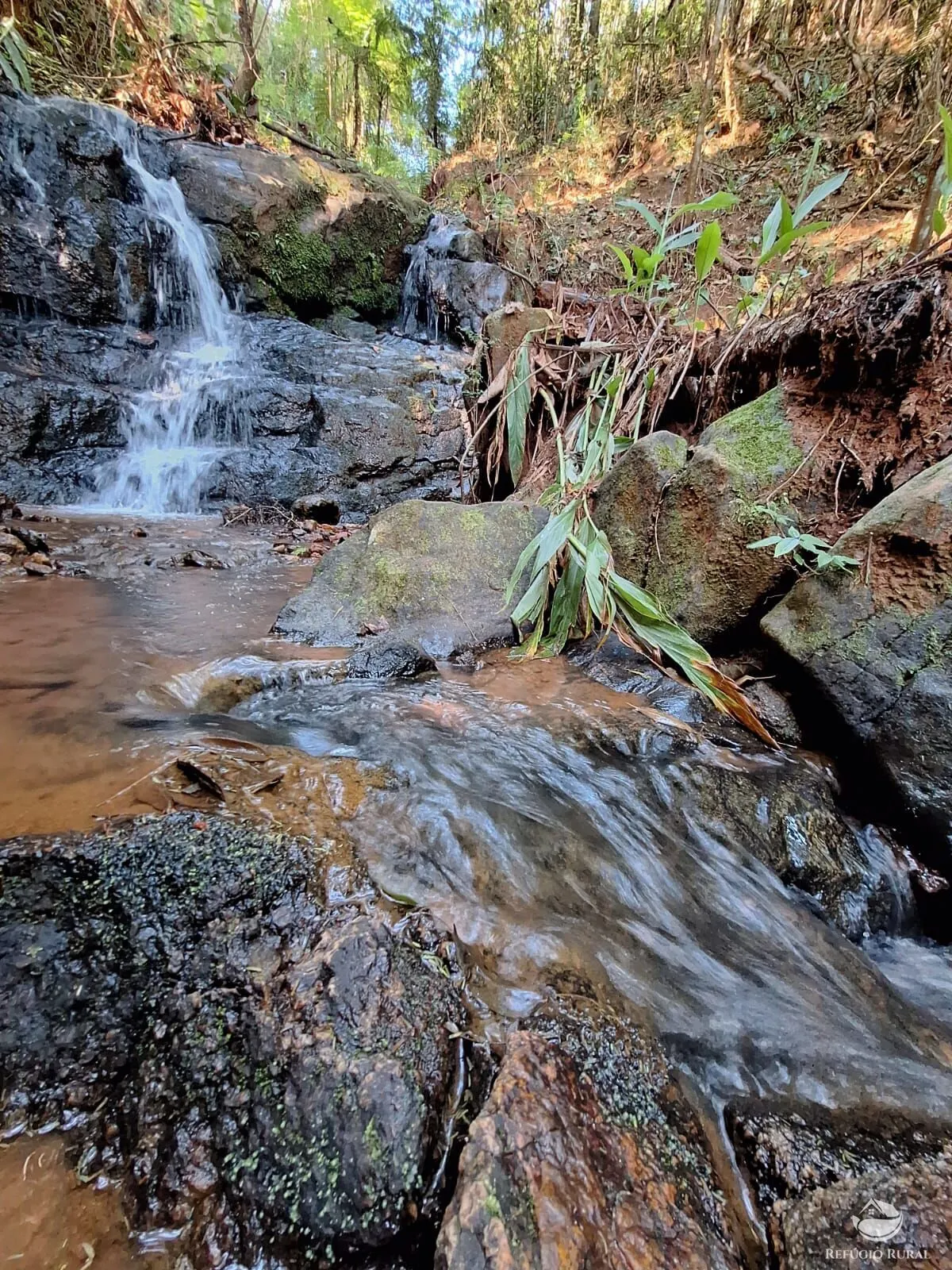 Sítio à venda de 20 ha em São José dos Campos, SP, Brasil
