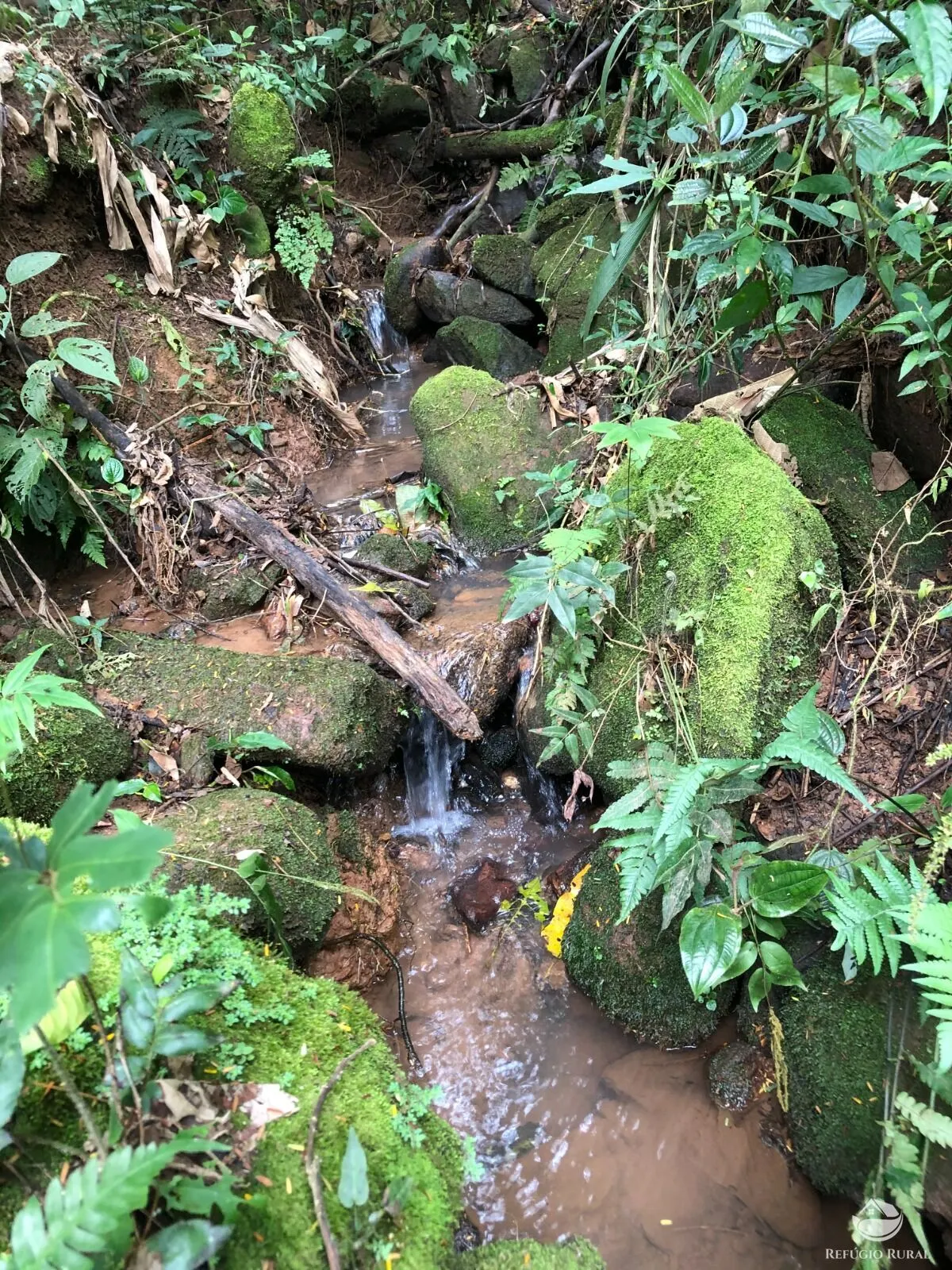 Sítio à venda de 20 ha em São José dos Campos, SP, Brasil
