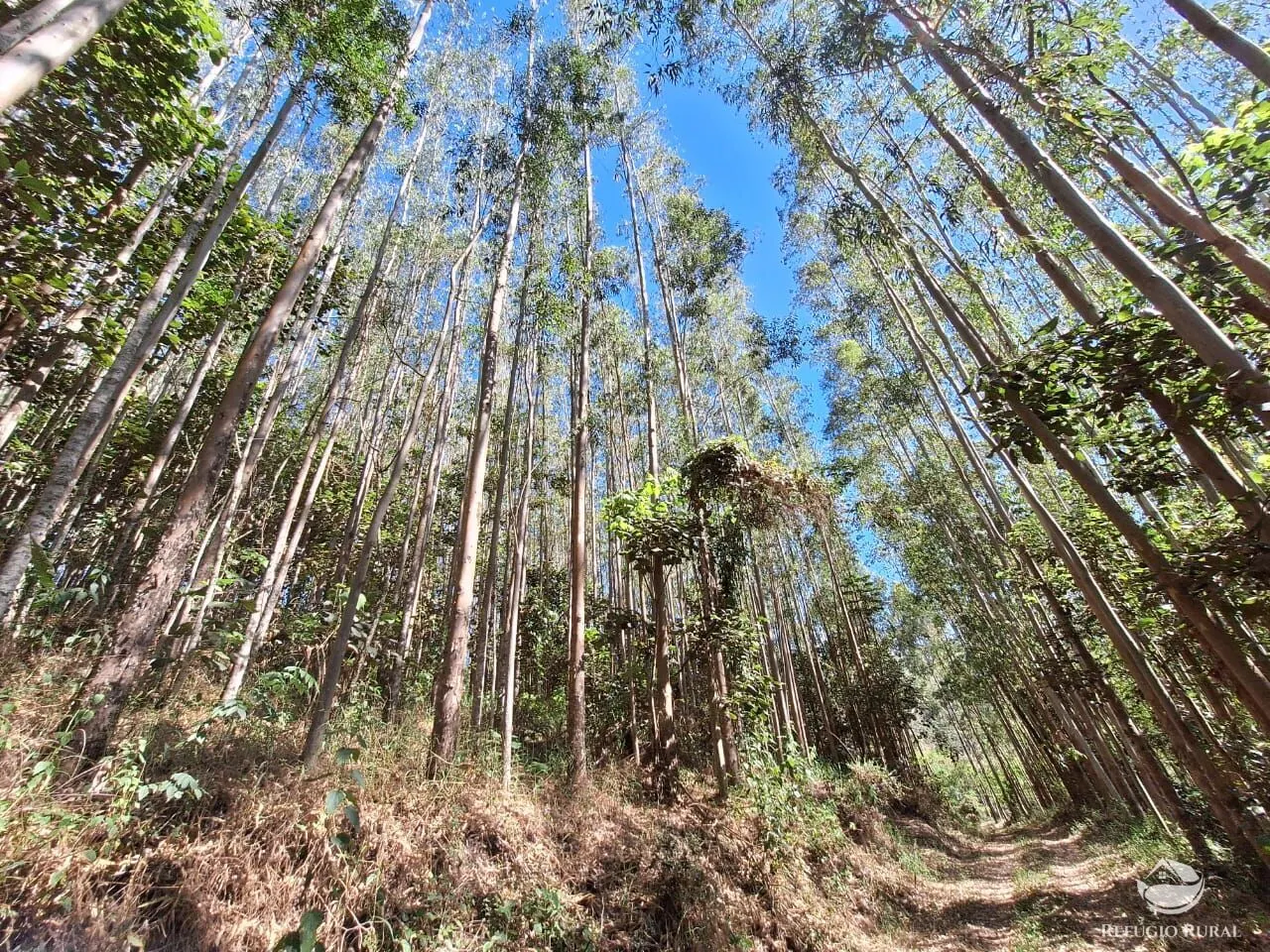 Sítio à venda de 20 ha em São José dos Campos, SP, Brasil